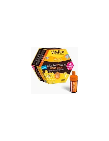 Vitaflor Jalea Real Mega Vital 200 ml 20 Ampollas