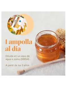 ARKOREAL JALEA REAL VITAMINADA SIN AZUCAR 1000 MG 20 AMPOLLAS 15 ML 2