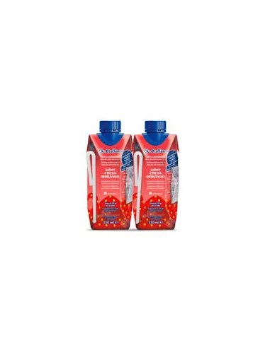 Bioralsuero 200 ml 2 Bricks Fresa