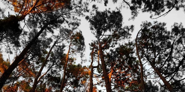Consejos para el cuidado de la piel este otoño