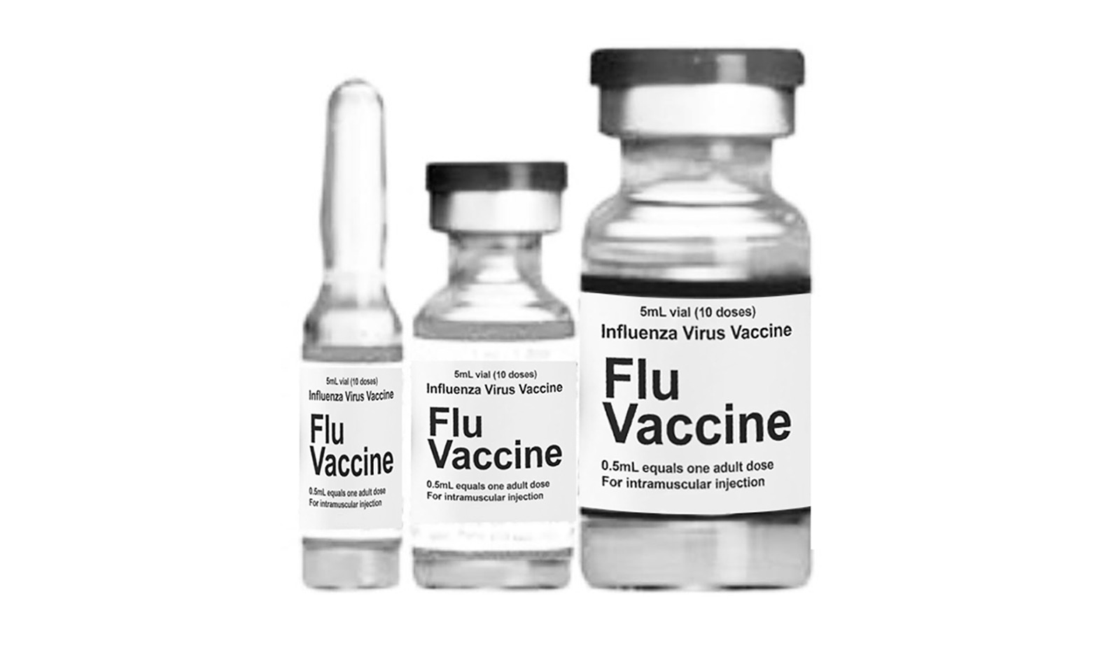 VACUNA DE LA GRIPE EN LA PANDEMIA DEL COVID 19